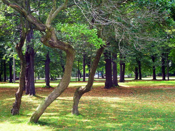 Wilhelm-Kuelz-Park in Leipzig Völkerschlachtdenkmal