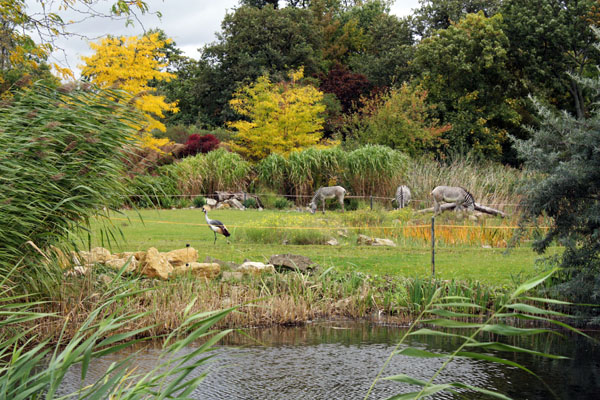 Zooschaufenster Leipzig Rosental