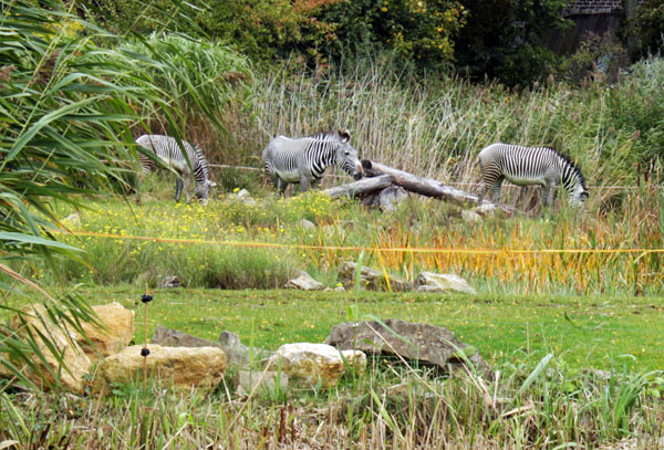 Zooschaufenster Leipzig