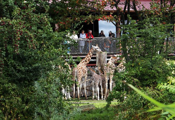 Zooschaufenster im Rosental Leipzig