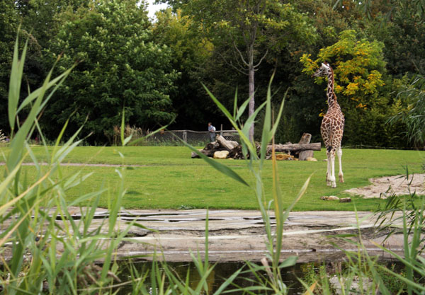 zooschaufenster Rosental Leipzig