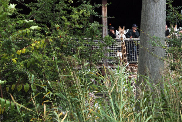 zooschaufenster Rosental Leipzig