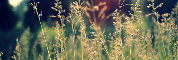 lieblingsorte in Leipzig