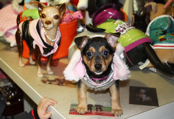 Leipzig Dogshop