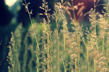 lieblingsorte in leipzig