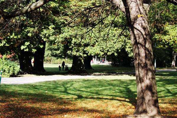 clara park leipzig