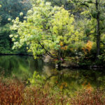 clara-zetkin-park leipzig