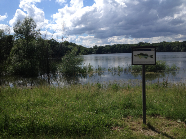 Auensee Leipzig