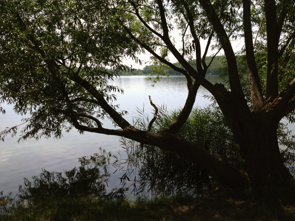 Kulkwitzer See Leipzig Kulkwitzer See Leipzig