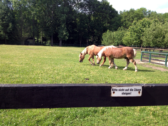 Haustierfarm leipzig