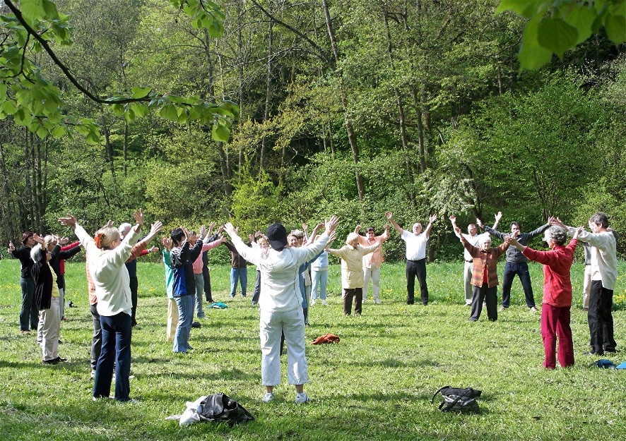 Qigong im park