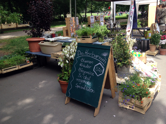 Ökofete leipzig Kräuterstand