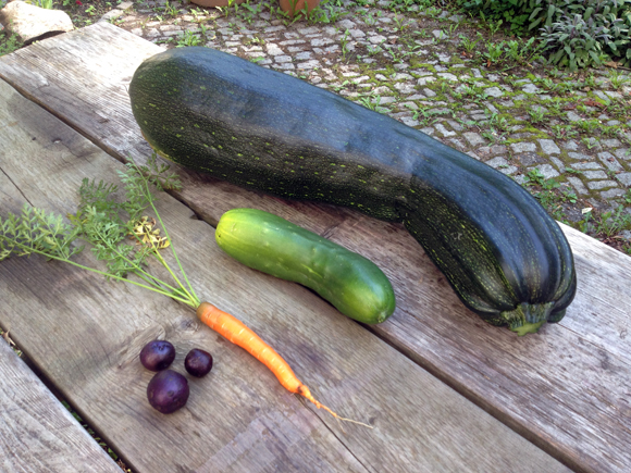 garten ernten hof selber