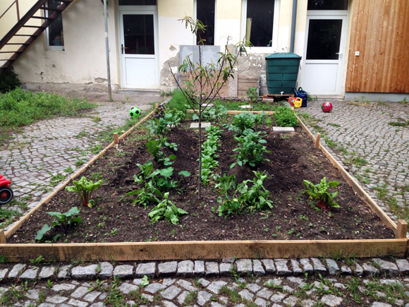 garten ernten hof