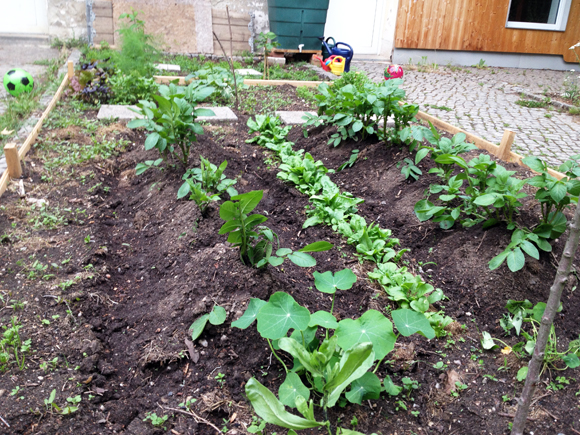 leipzig gemüse garten ernte mich