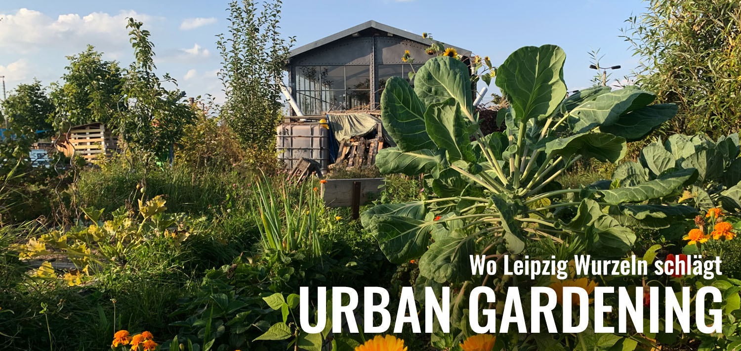 Urban Gardening Leipzig