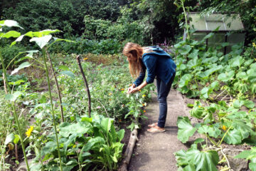 Stadtgarten Connewitz