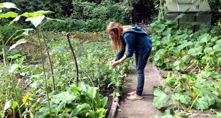 Stadtgarten Connewitz