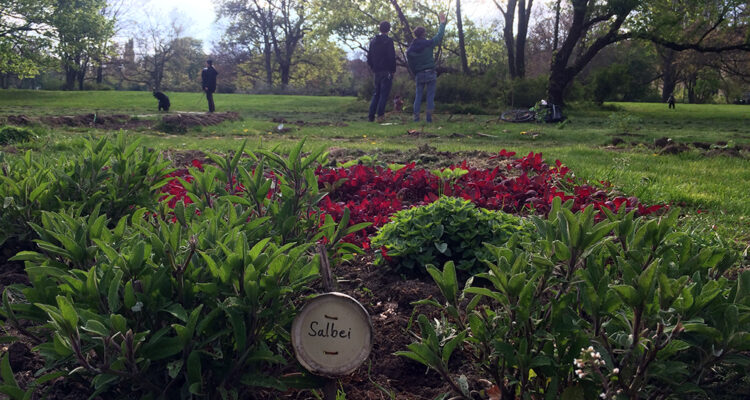 essbare stadt leipzig