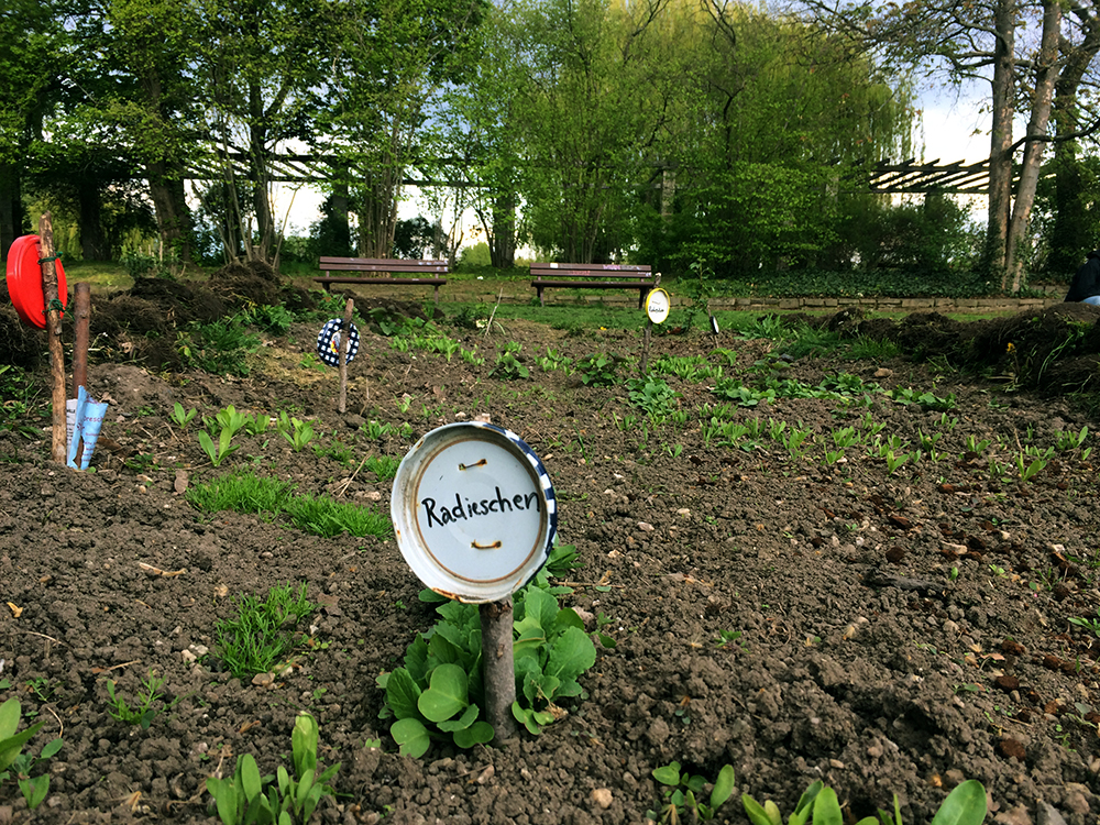 urban gardening leipzig