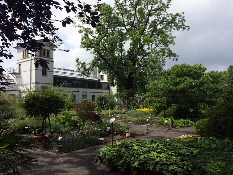 Botanischer Garten & Schmetterlingshaus Leipzig
