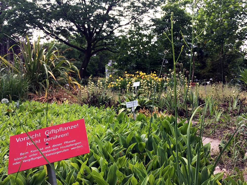 botanischer garten giftpflanzen