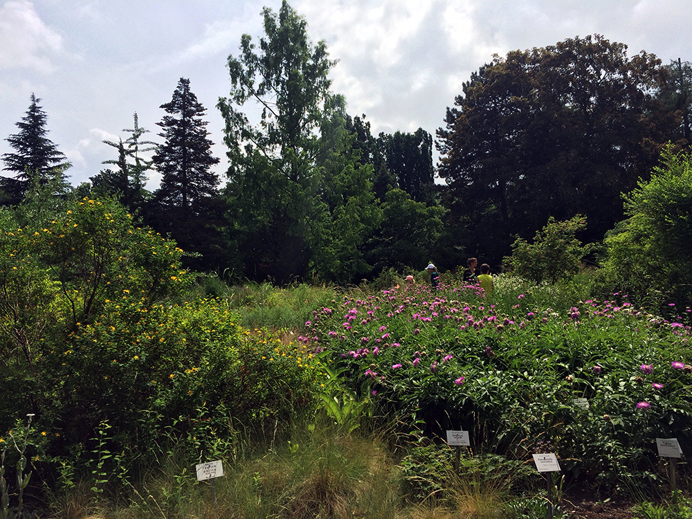 botanischer garten in leipzig