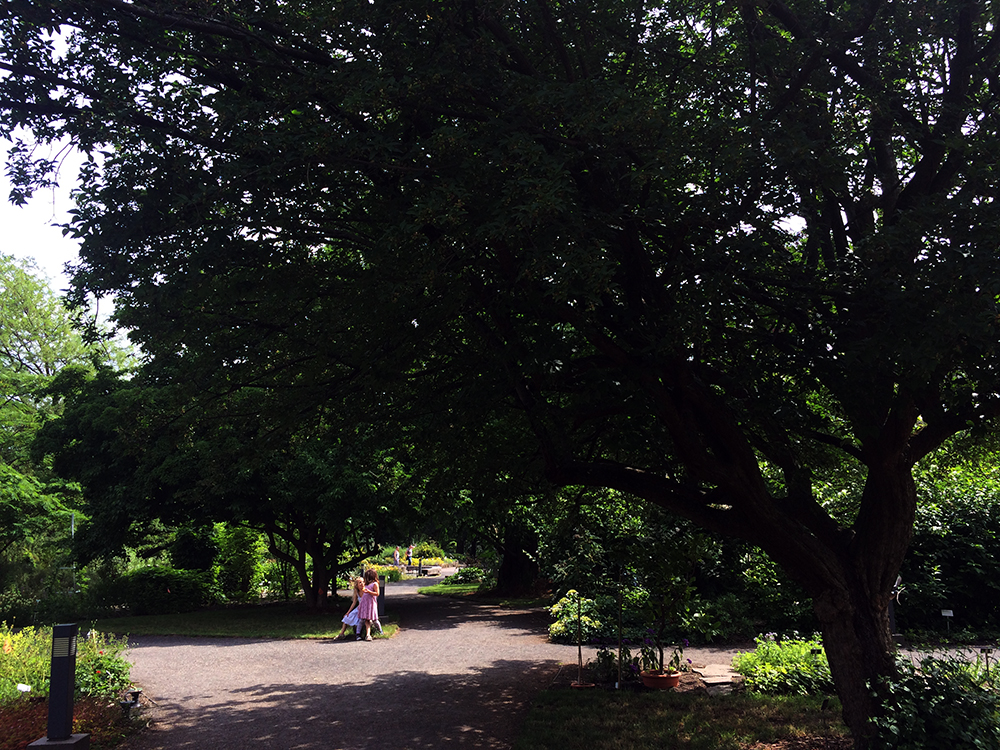 Botanischer Garten Leipzig