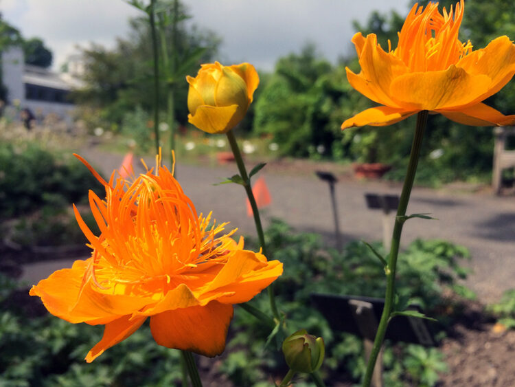 Botanischer Garten & Schmetterlingshaus Leipzig