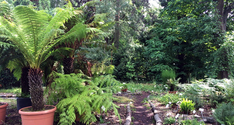 botansicher garten in leipzig