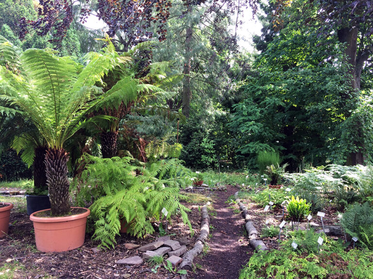 Botanischer Garten & Schmetterlingshaus Leipzig