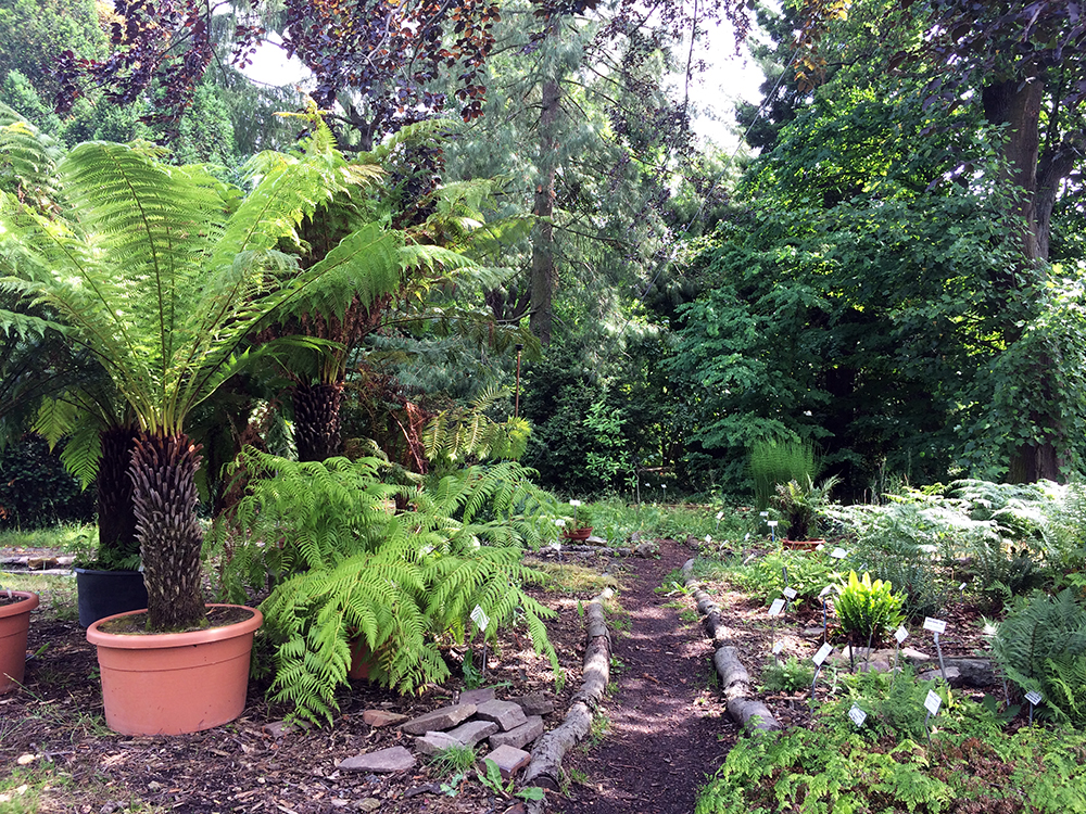 botansicher garten in leipzig