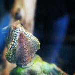 Regenwaldmuseum Leipzig