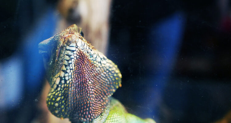 Regenwaldmuseum Leipzig