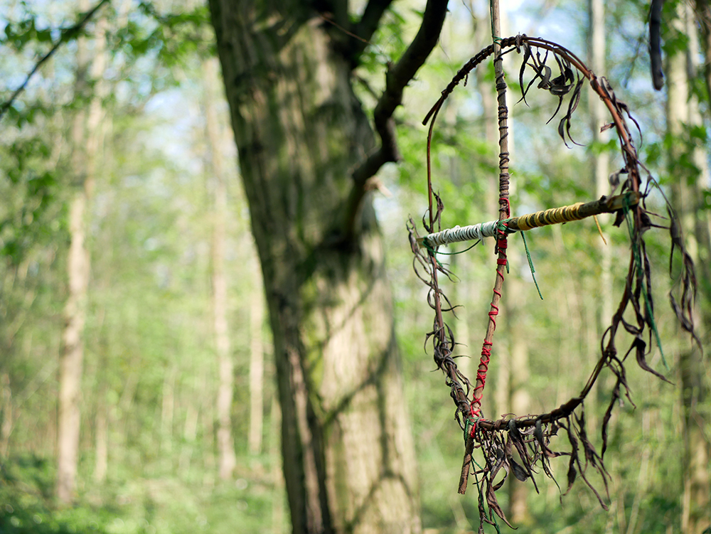 vier fährten wildnis