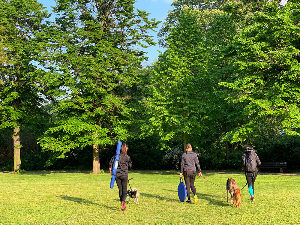 fit mit hund leipzig