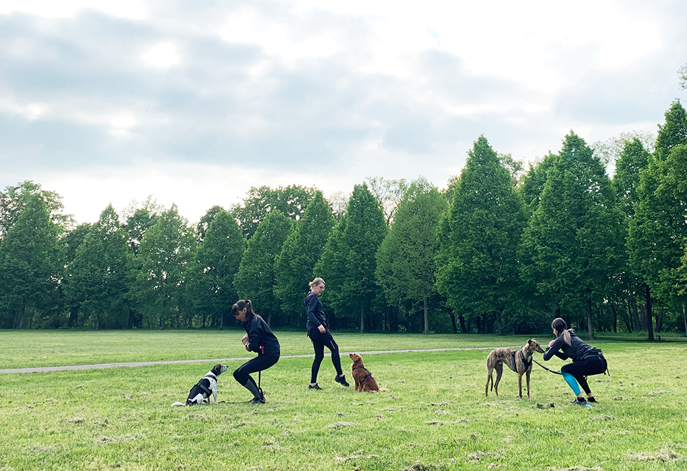 fitness mit hund