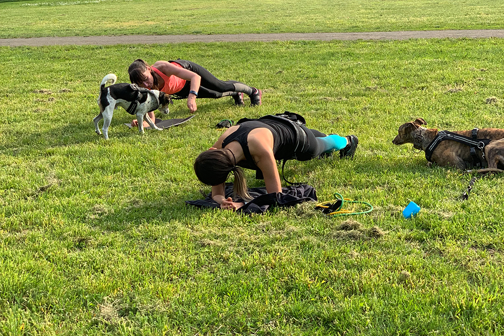 fitnesskurse mit hund