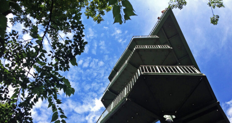 Aussichtsturm Rosental Leipzig Wackelturm