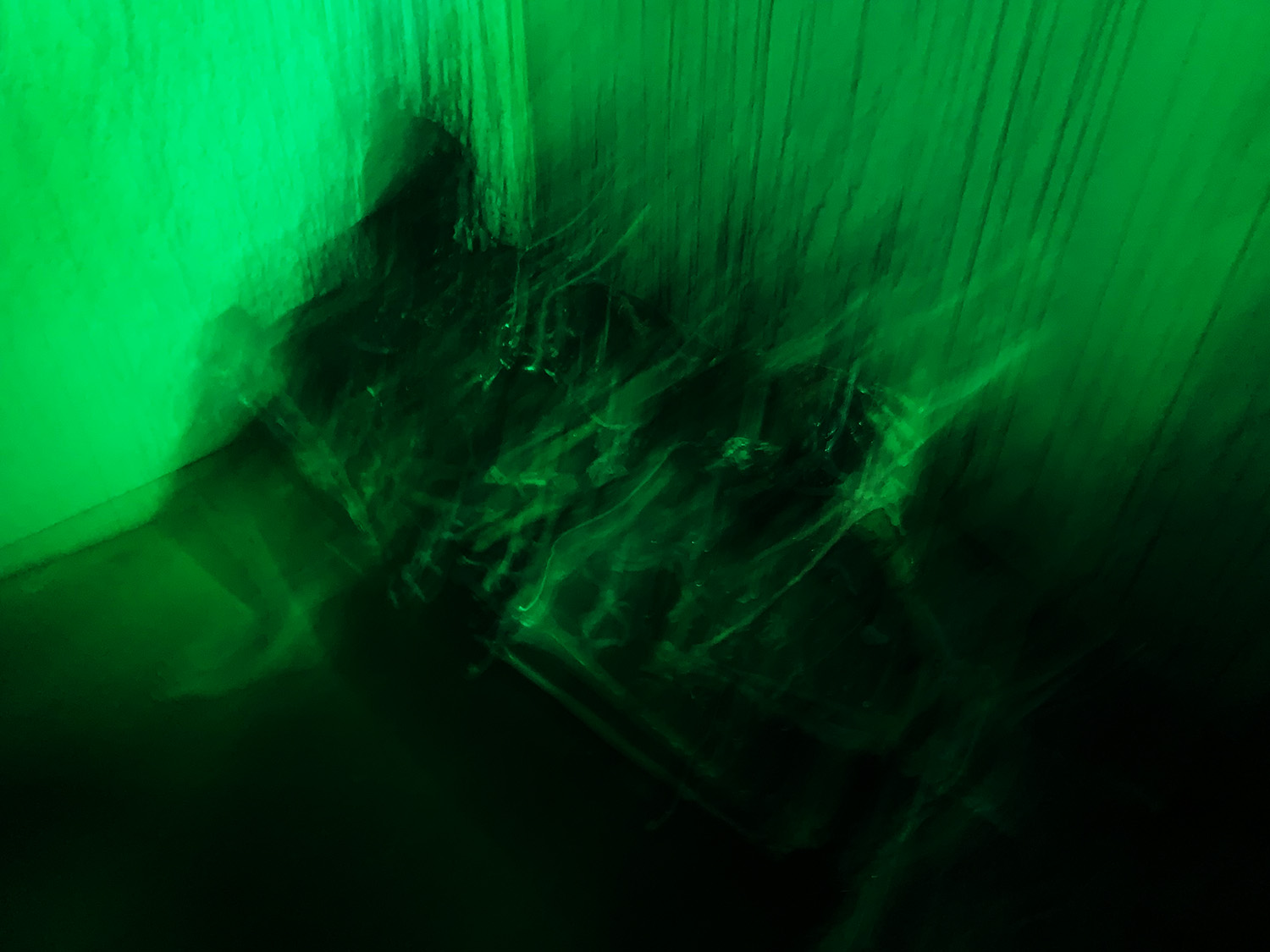 Belantis Halloween Grusellabyrinth