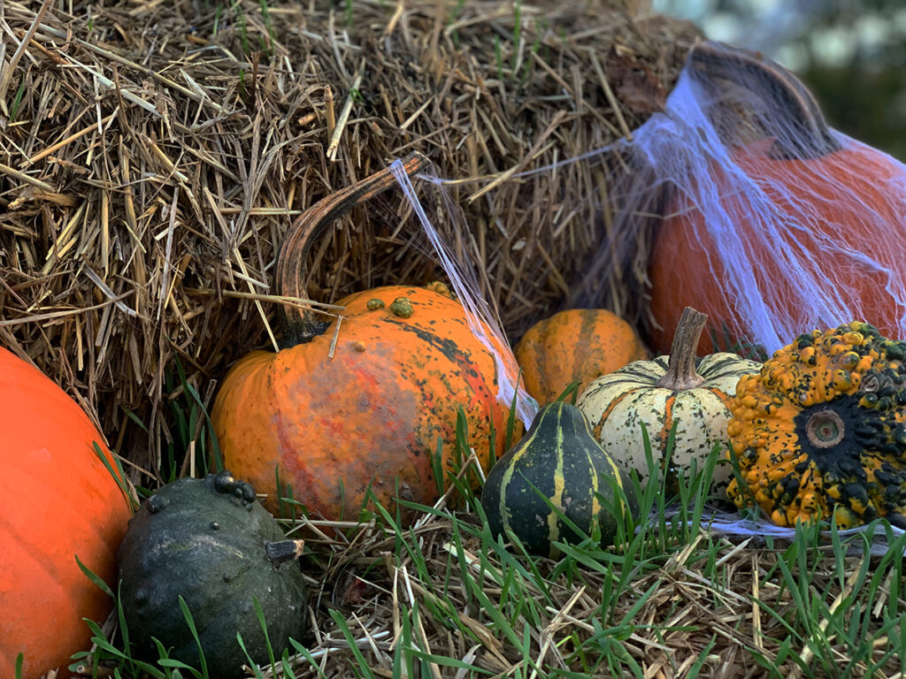 HalloWeen Belantis Leipzig Freizeitpark