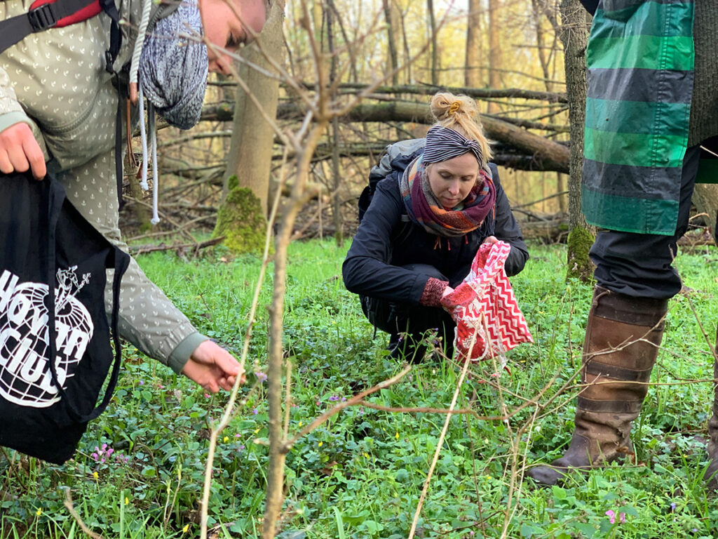 Heilkräuter Leipzig Wildnischule Aeracura