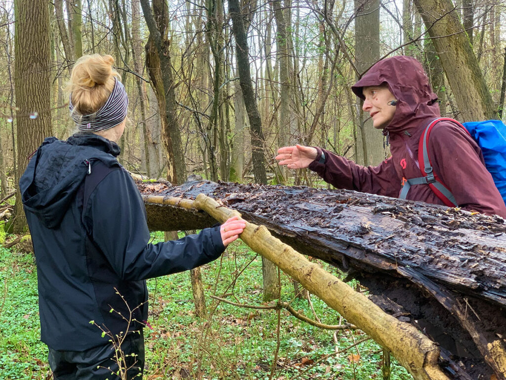 Waldwochenende Leipzig