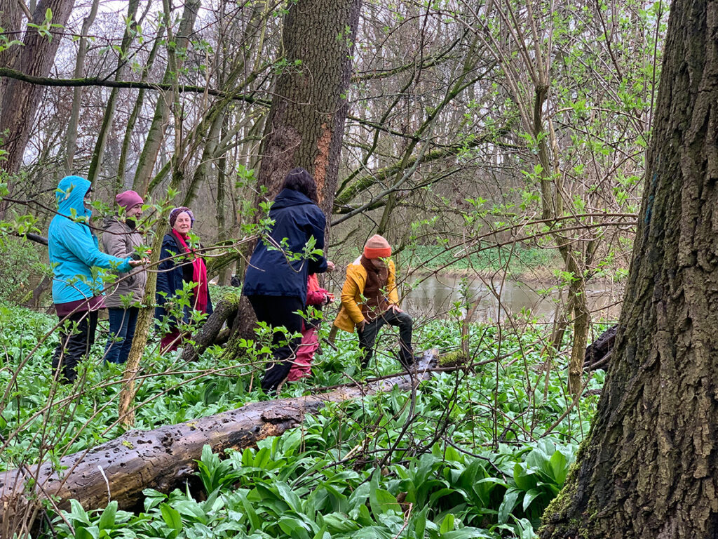 Wildnisschule Aeracura in Leipzig