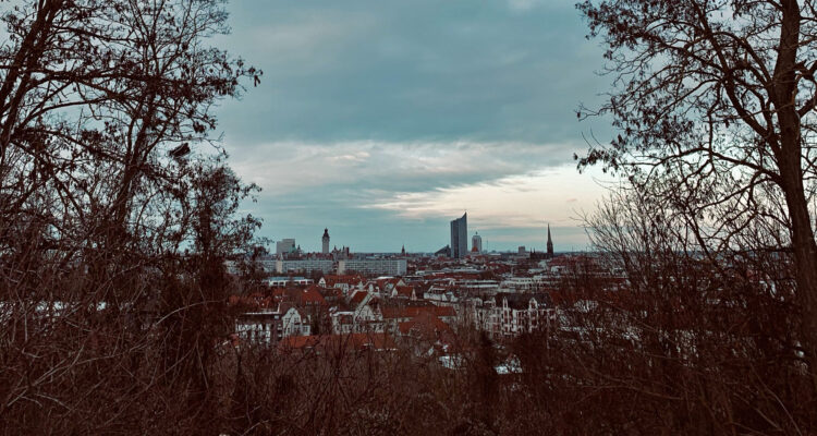 Straßenbäume leipzig