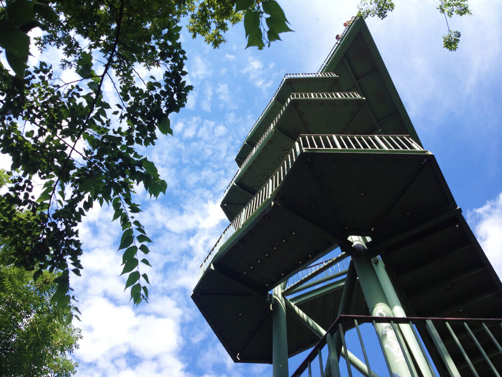 Leipzig mit Hund auf dem Wackelturm