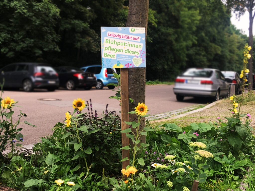 Blühpaten Leipzig Baumbeet pflegen