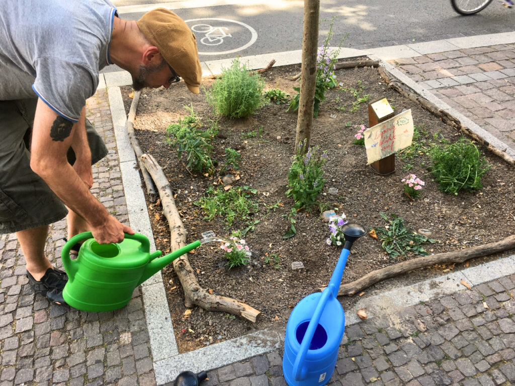 Leipzig blüht auf Baumscheibe pflanzen