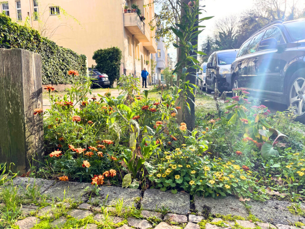 Leipziger Baumbeet bepflanzen