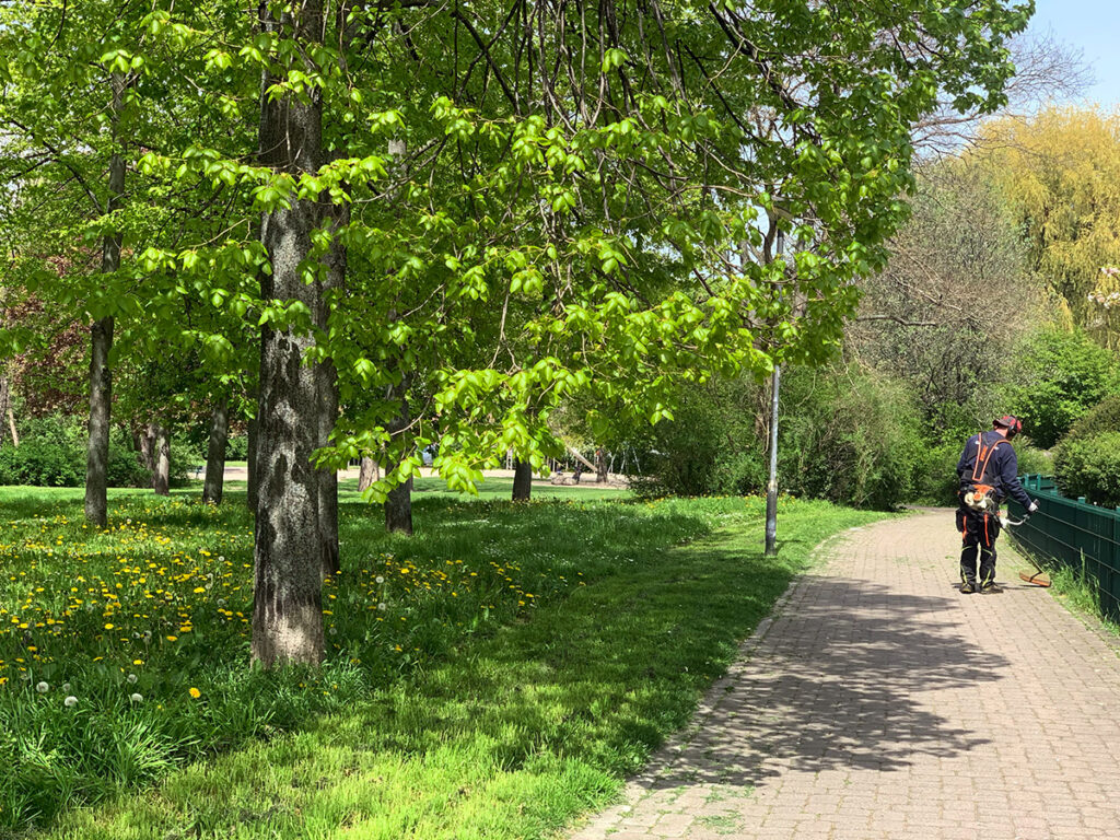 Leipziger Grünflächen & Parks brauchen NaturschutzStandards